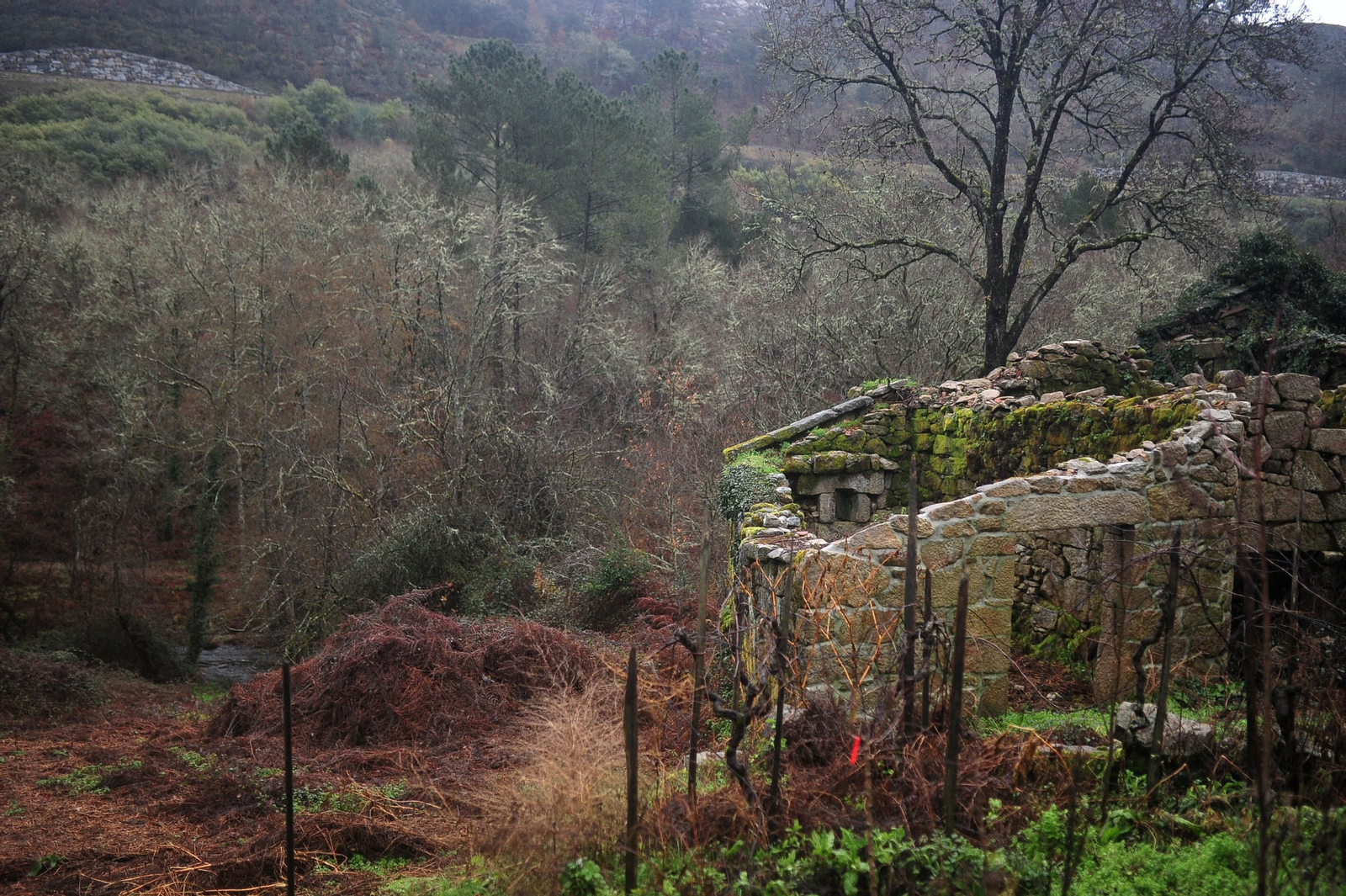 Aldeas que resisten.