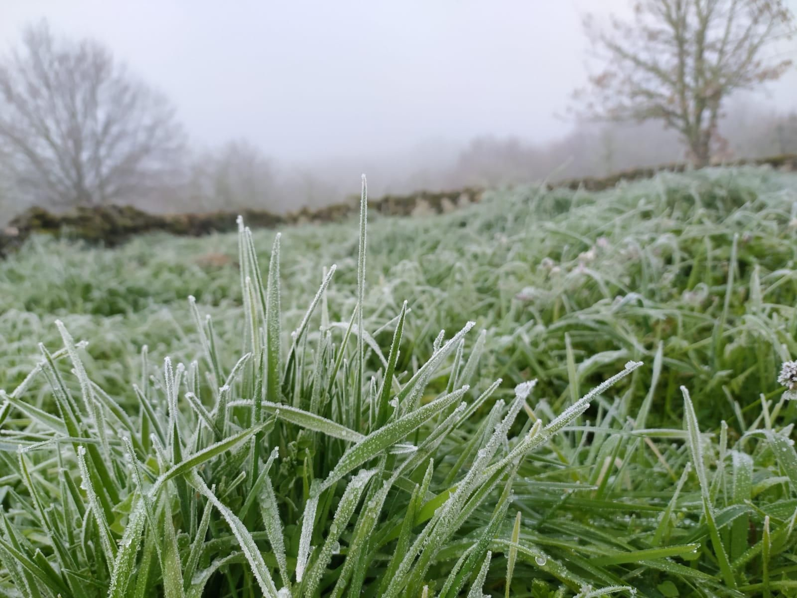 Jornada de frío en la provincia