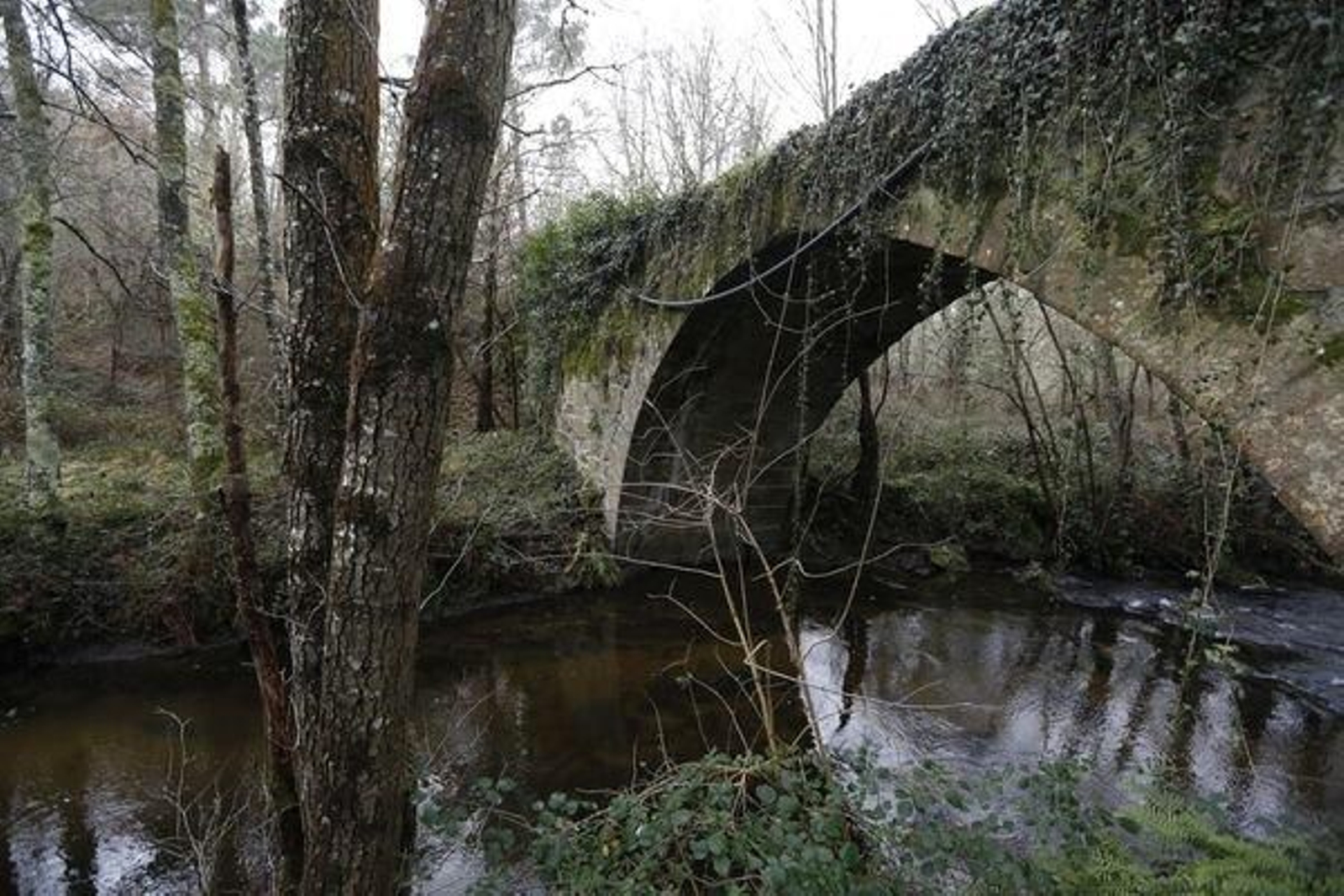 Estado actual que presenta Ponte Pedriña, en Celanova.
