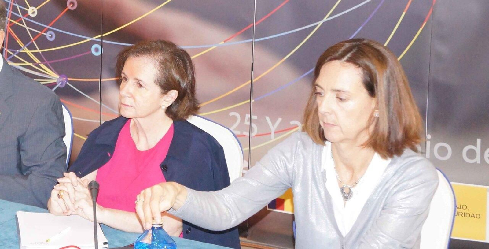 En la imagen (izquierda) Beatriz Larrocha durante un pleno del CGCEE celebrado en junio de 2018.