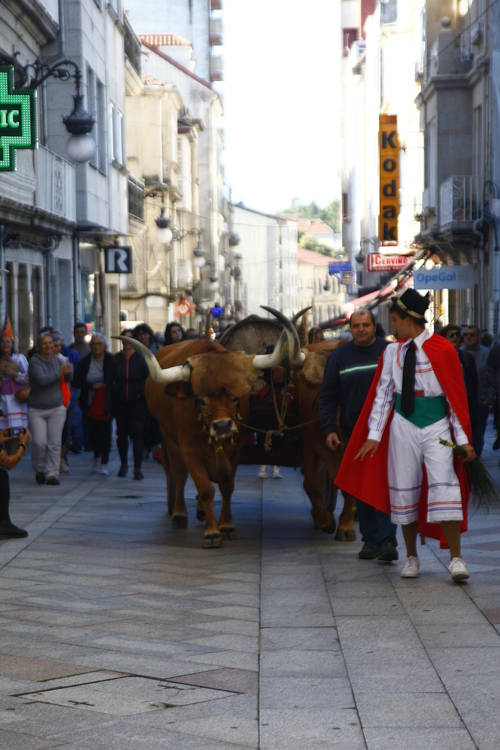 Saída andaina "Camiño Nós" (MIGUEL ÁNGEL)