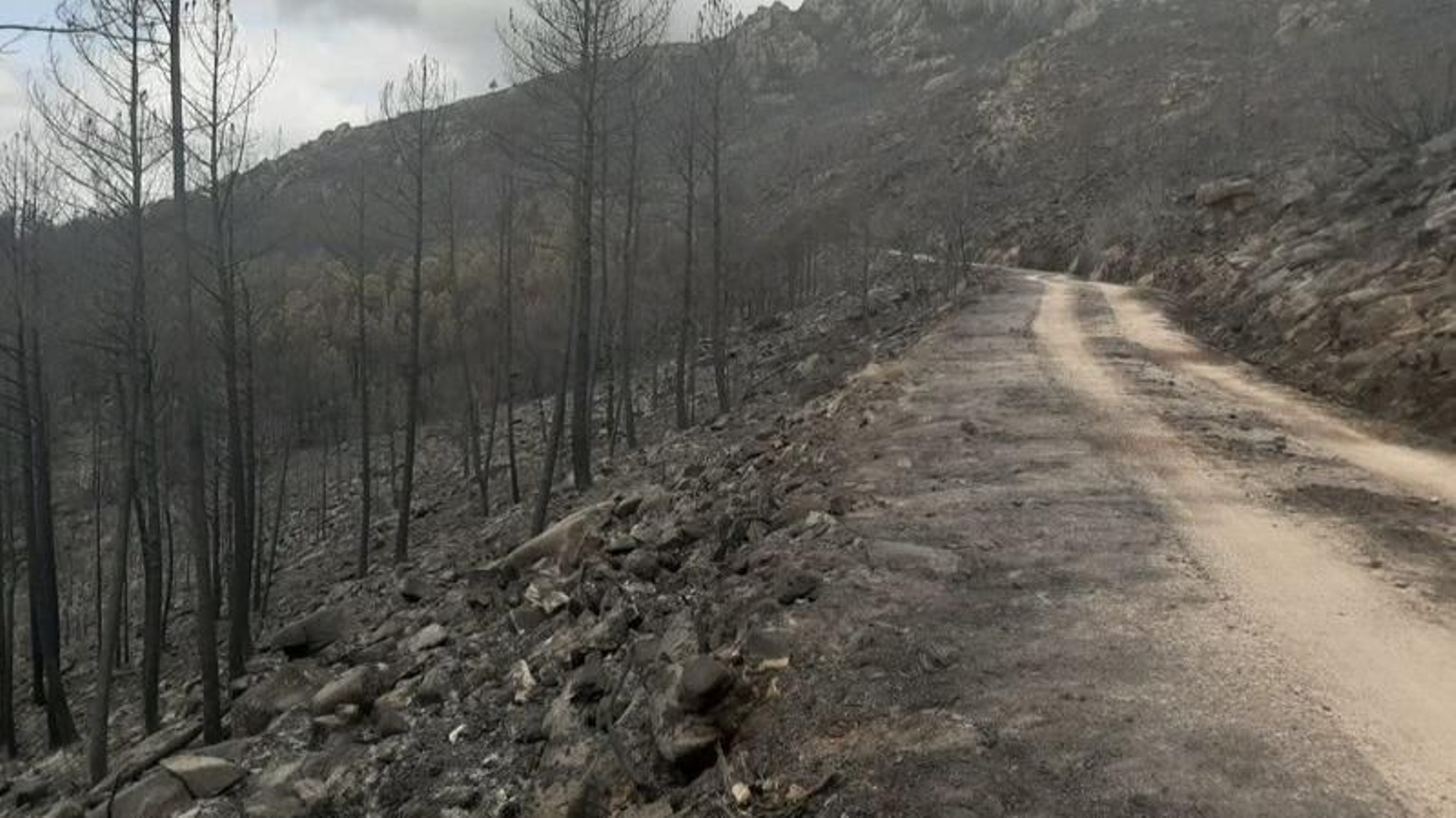 Imagen del incendio en el Xurés el pasado fin de semana.