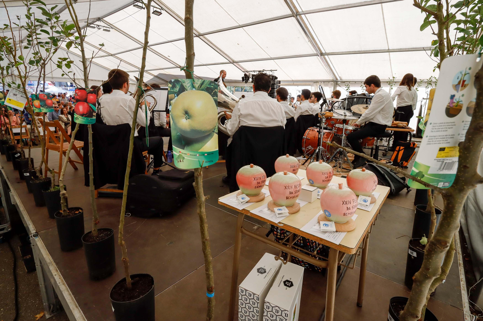 Festa da Sidra // Jorge Santome