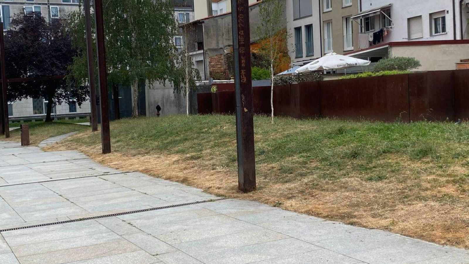 Césped sin regar cerca del Posío.