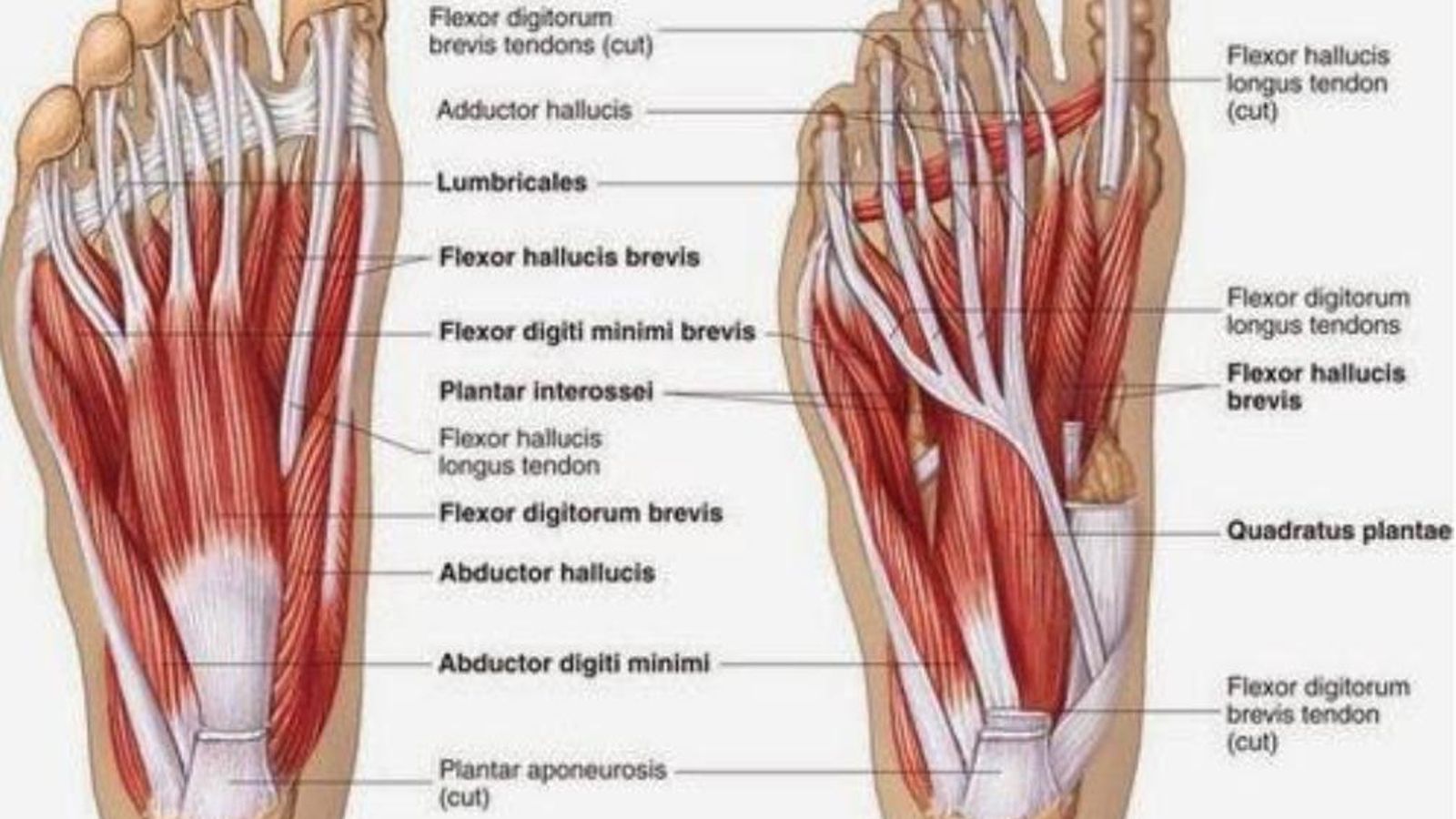 A tener en cuenta 444