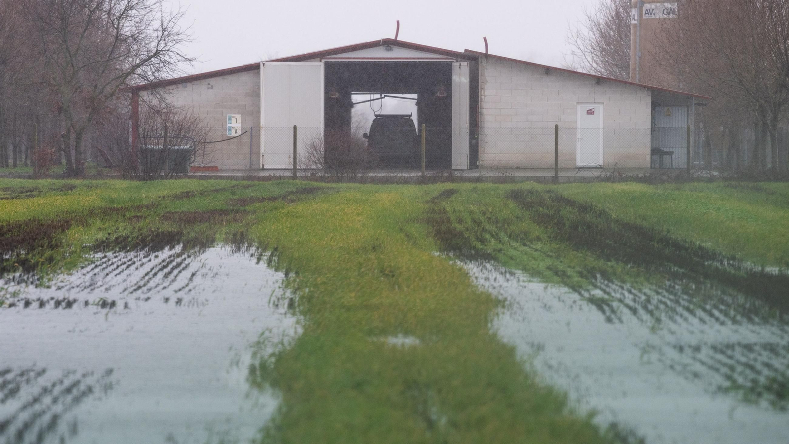 Imagen de Xinzo de Limia anegado por las intensas lluvias.