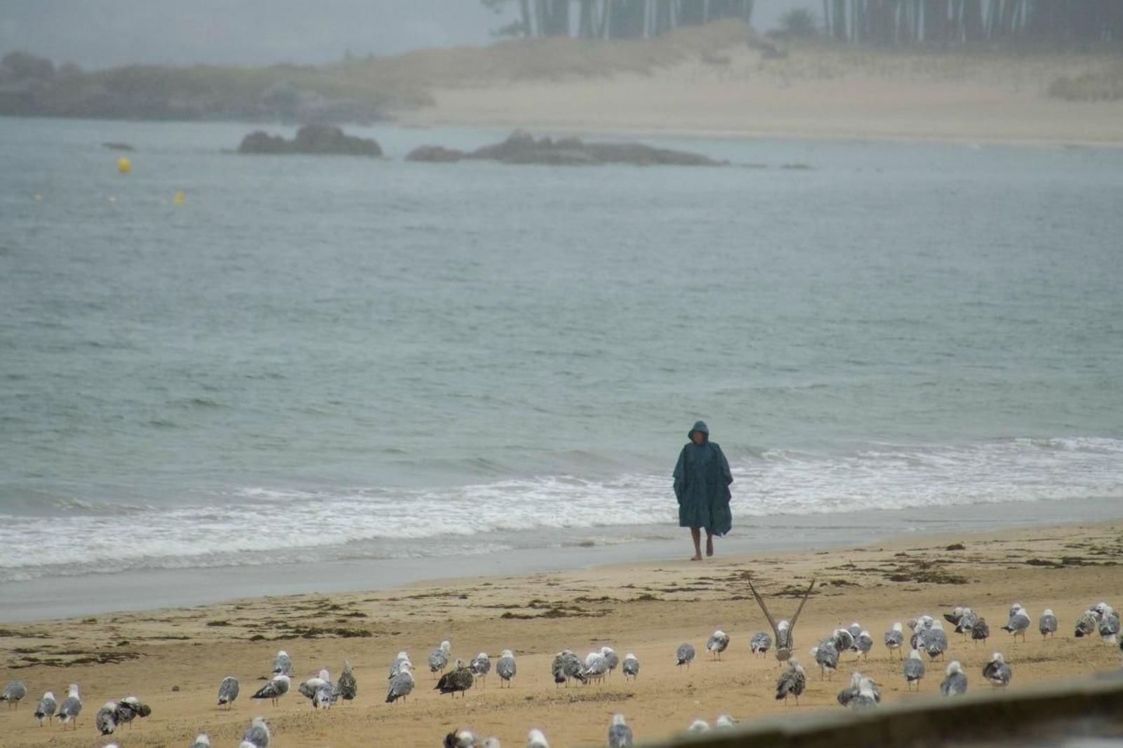 Galería | La lluvia sorprende a Vigo tras meses de tiempo seco