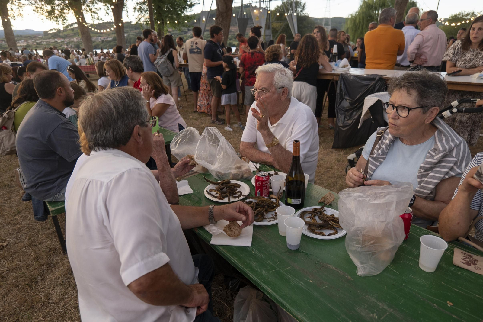 Galería | 700 kilos de sabor y anguilas para mantener viva la Festa da Anguía, en fotos