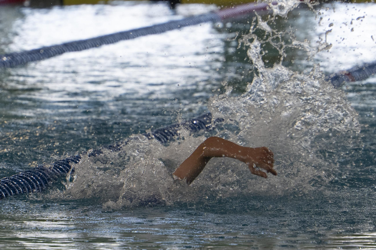 El CN Pabellón logra un triplete de alegrías en casa durante el Campeonato Gallego de natación