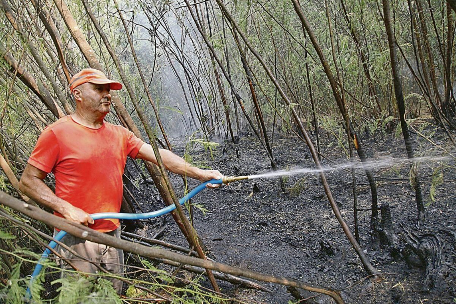 Vecinos controlando el fuego en el bosque protegido de Ridimoas.