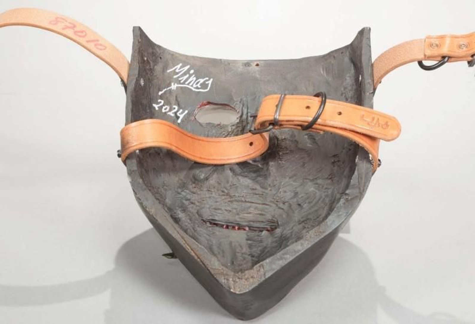 MASCARAS ENTROIDO/Captura de pantalla 2026-03-04 172801