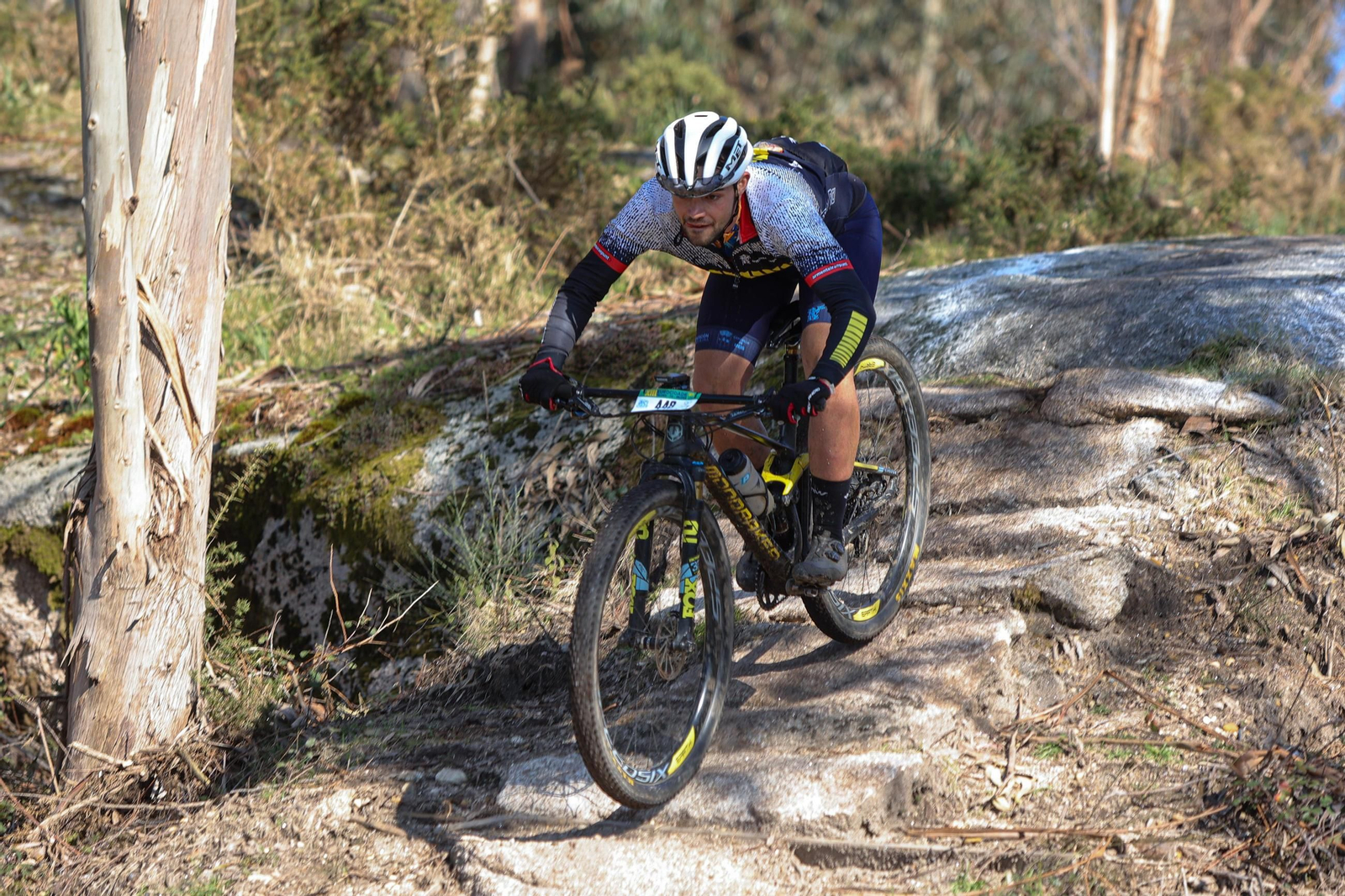 Galería | Casi 1.000 corredores en la marcha Eurocidade BTT