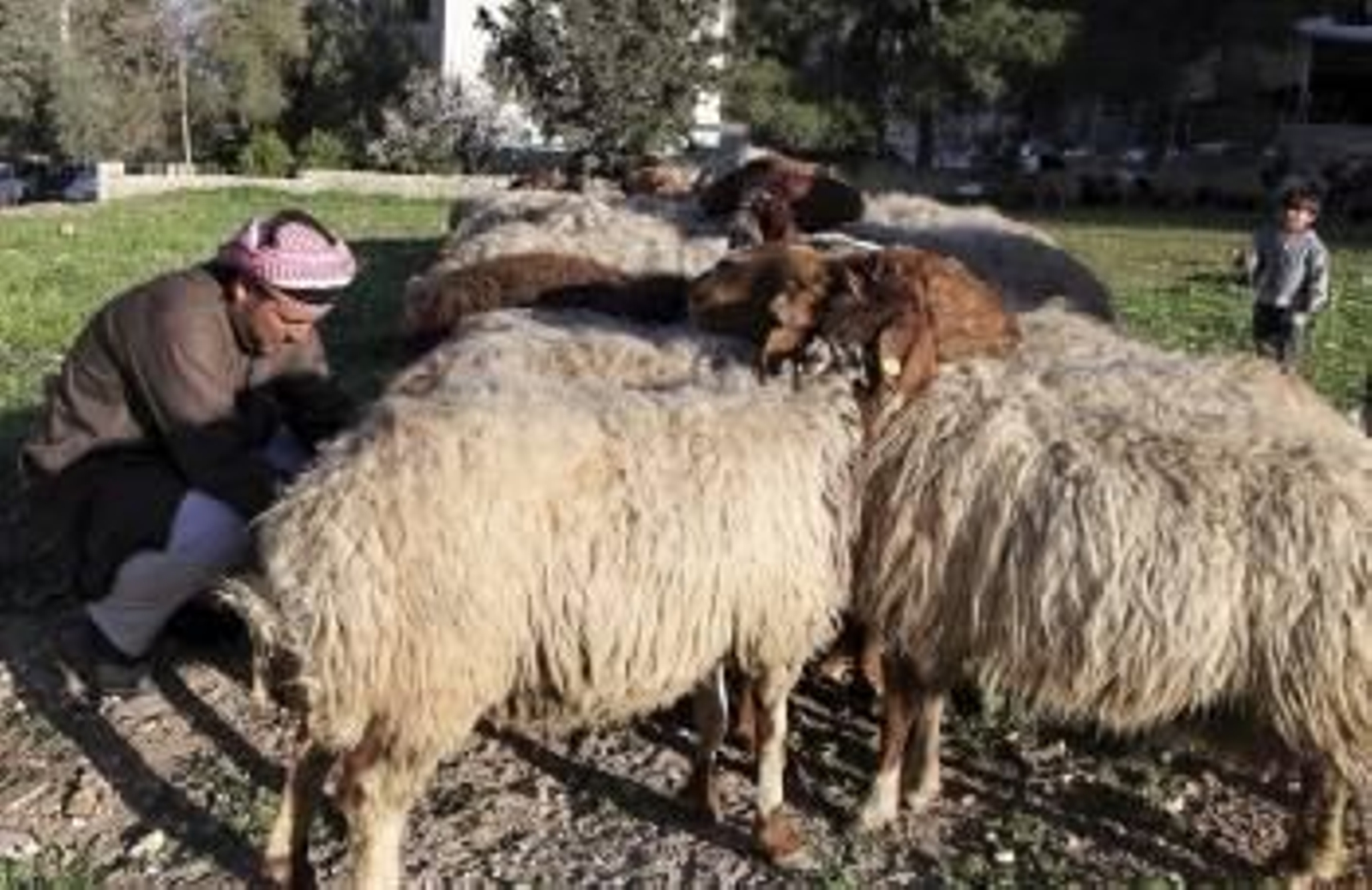 Detalle de una escultura en la biblioteca de la casa en Lanzarote, del Nobel de Literatura de 1998, José Saramago