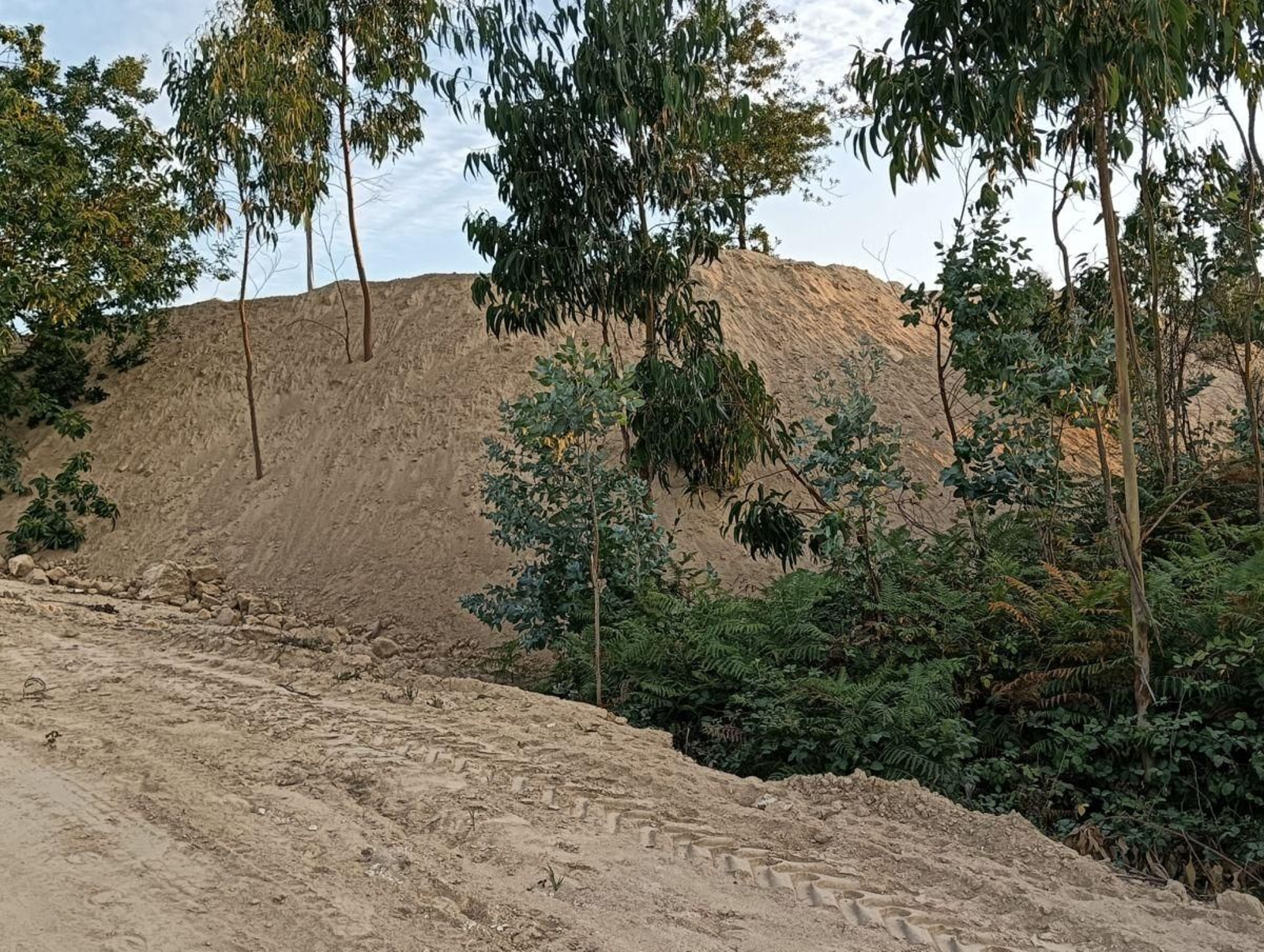 Una de las vistas del aterro que cubre una gran extensión de terreno en los montes comunales.