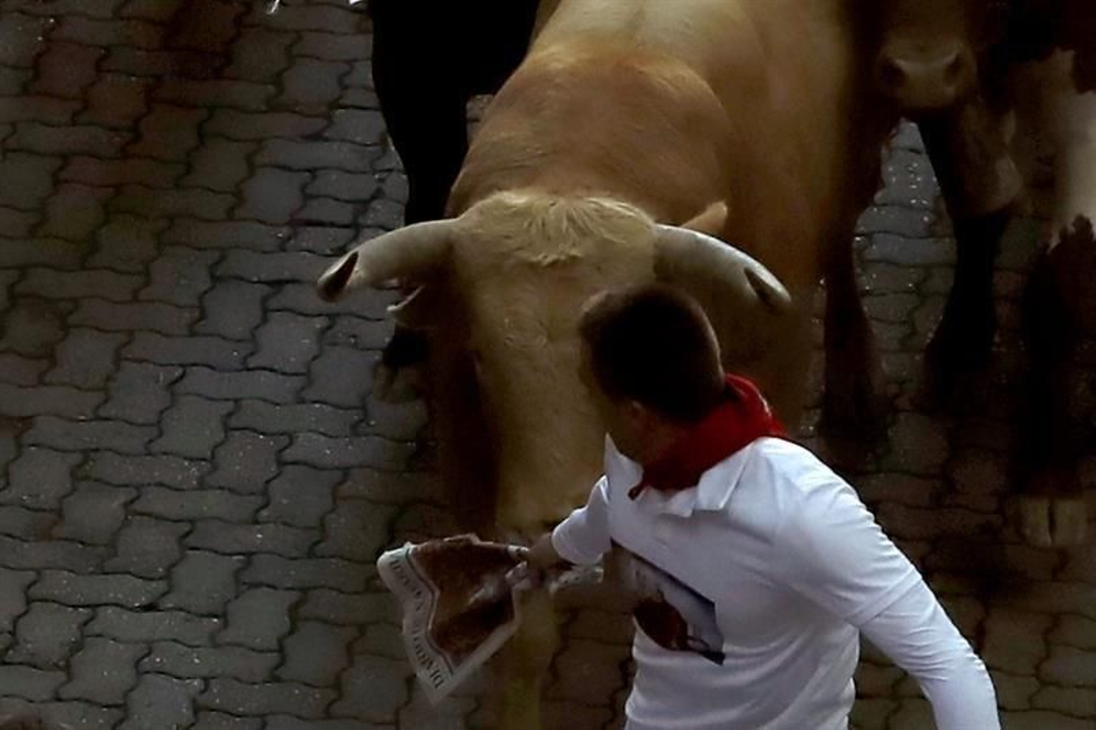 El primer encierro de los Sanfermines 14