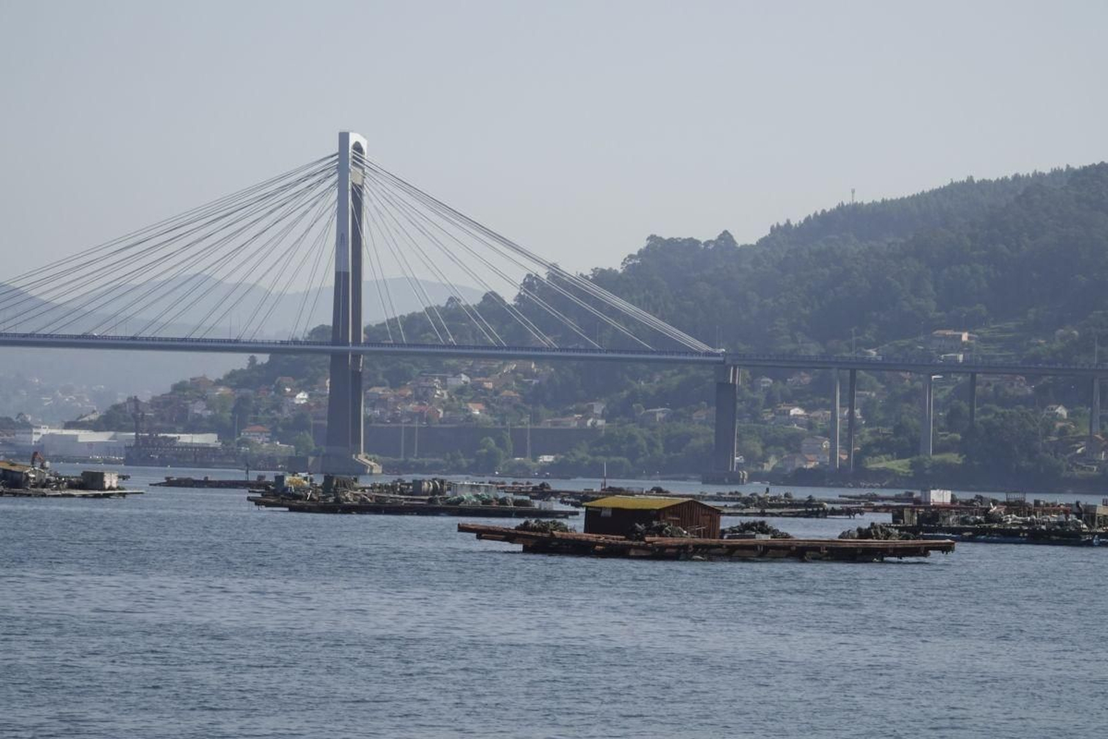 Bateas de mejillón en un polígono en la Ría de Vigo cerca del puente de Rande.