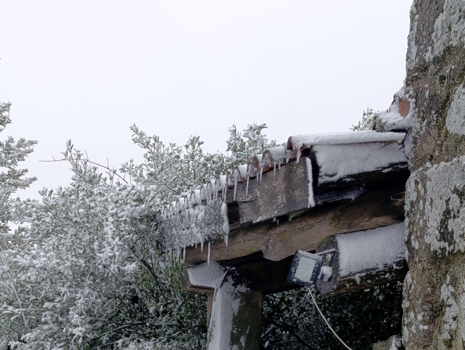 Galería | La borrasca Ingrid y la nieve pintan de blanco la provincia de Ourense, en imágenes