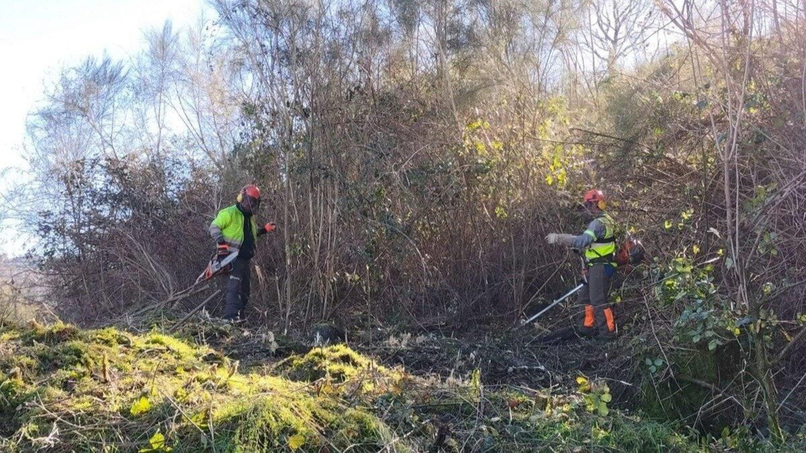 Dos operarios trabajan en la limpieza de las tierras de Cortegazas.