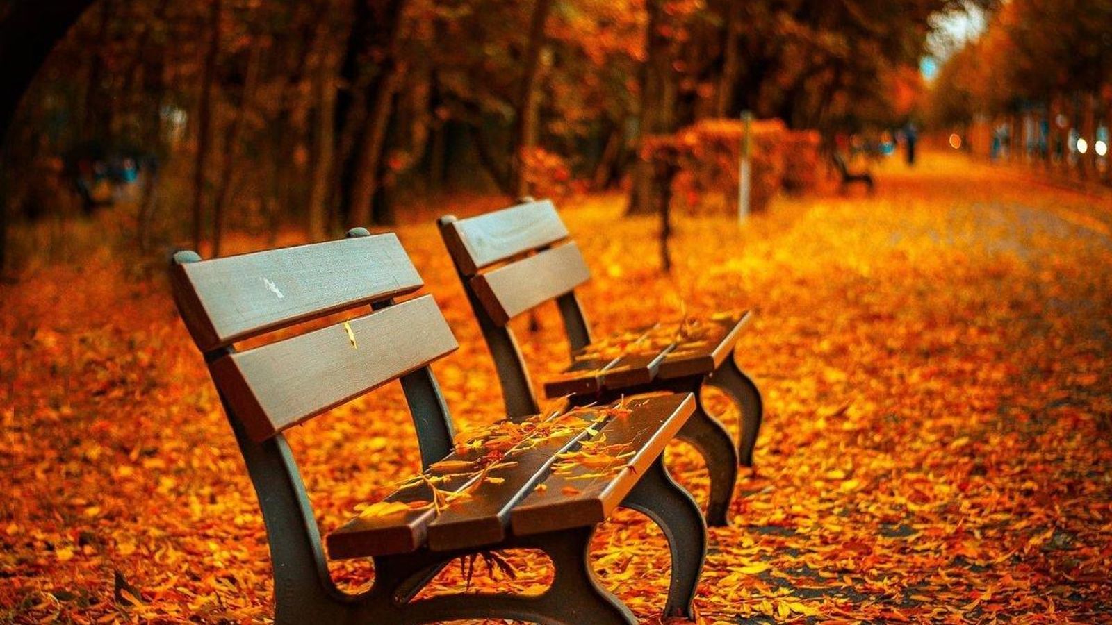 xornalescolar_2710_samain_04