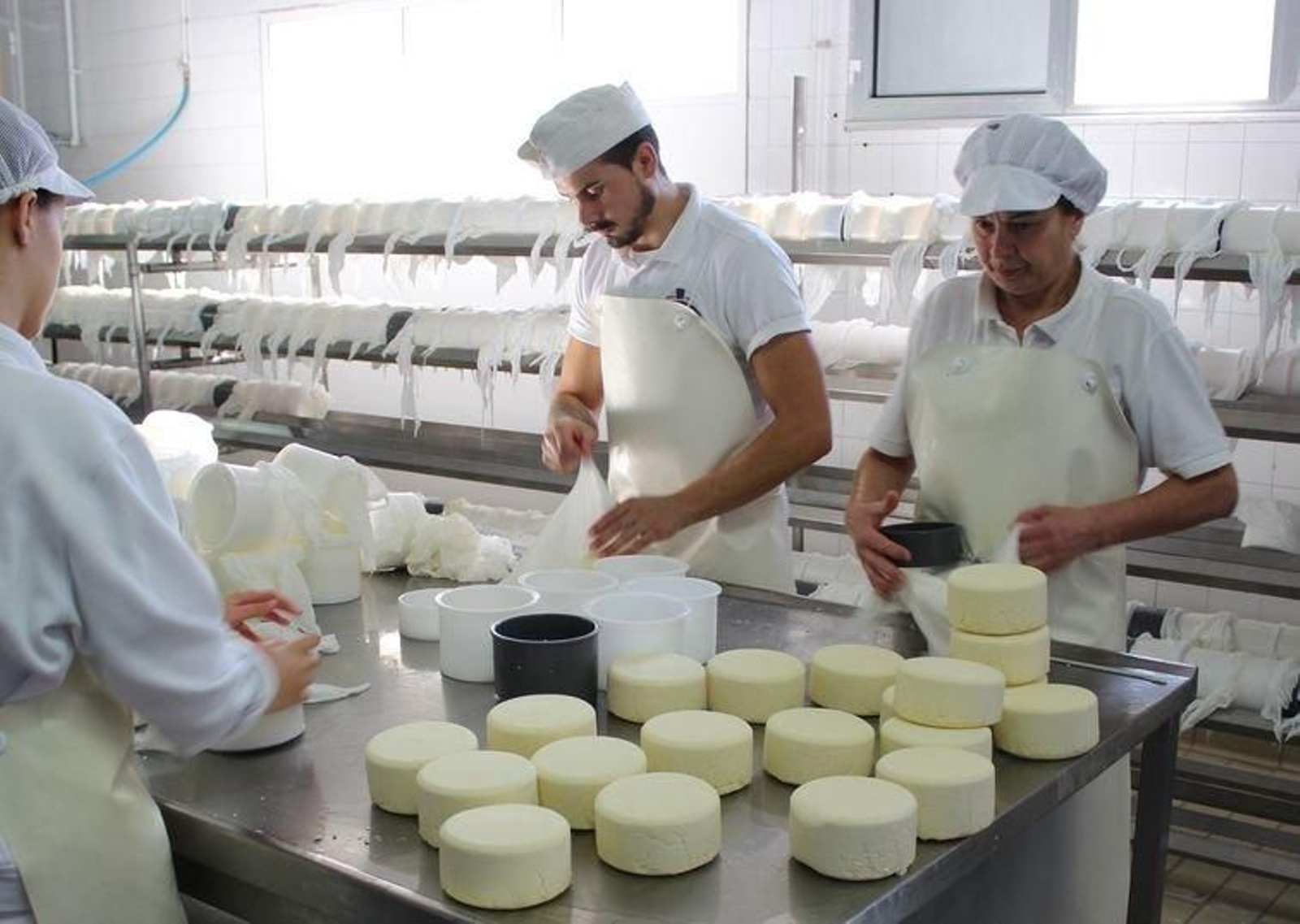 desmoldado_del_queso_result