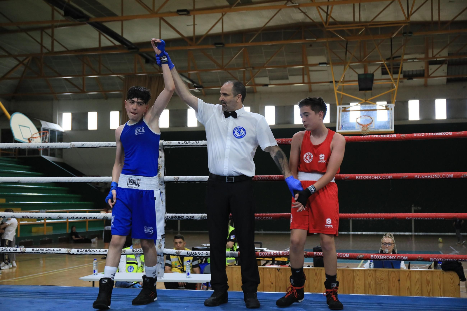 Galería | Verín disfruta de su primer Open de Boxeo