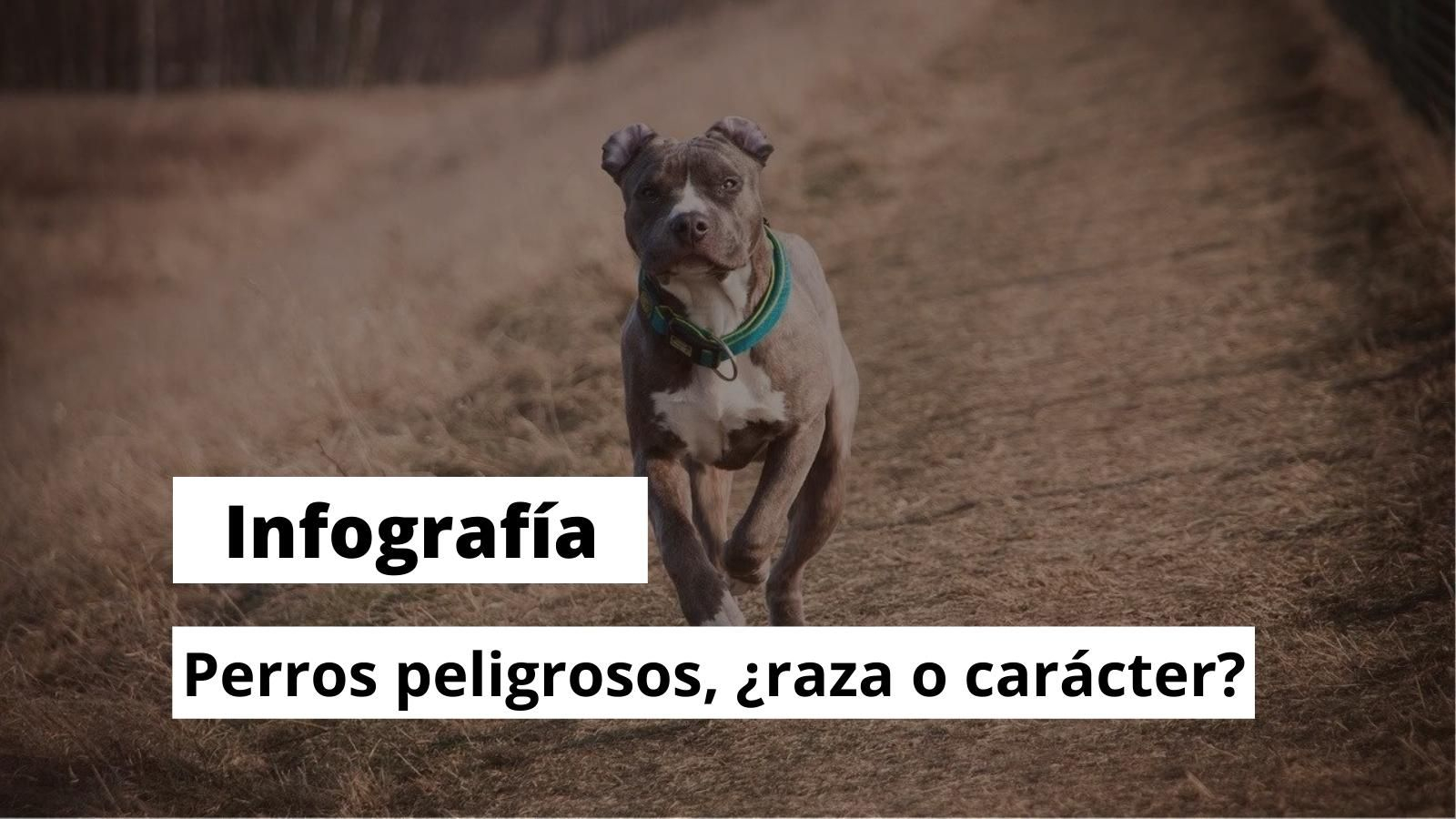 infografía
