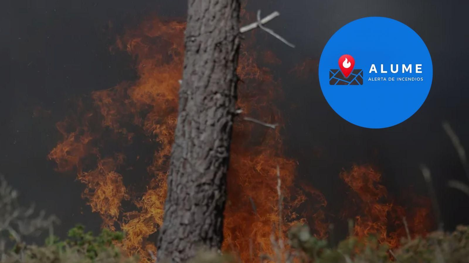 Alume, la nueva aplicación para alertar sobre incendios forestales en Galicia