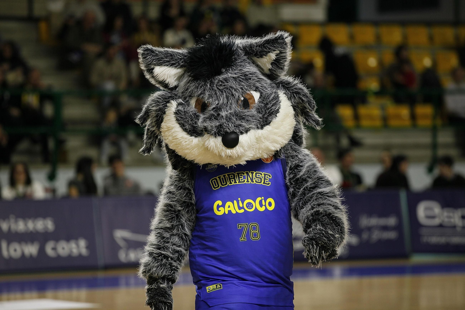 El Pazo disfruta de una victoria más del COB y ya van ocho.