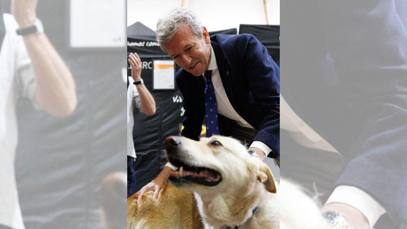 El presidente de la Xunta, Alfonso Rueda, en la Semana Verde en Silleda.
