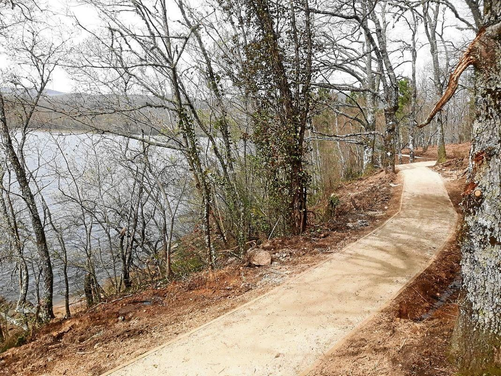 20200418181323637_resultado