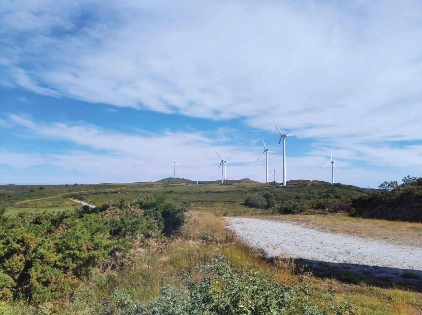 El parque eólico del Vieiro, en cuyas inmediaciones se prevé el de Monte da Neve. (FOTO: A.F.)