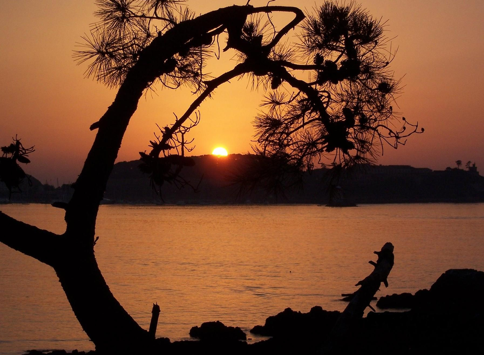 Beatriz Rodríguez Fernández