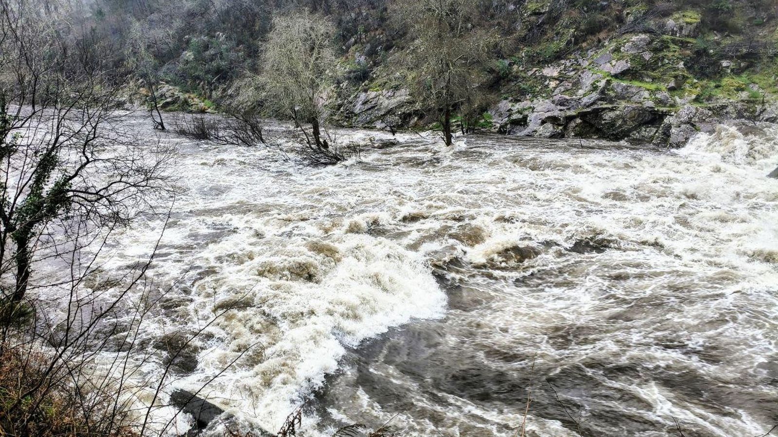 O río Lérez ao seu paso por Pontevedra.