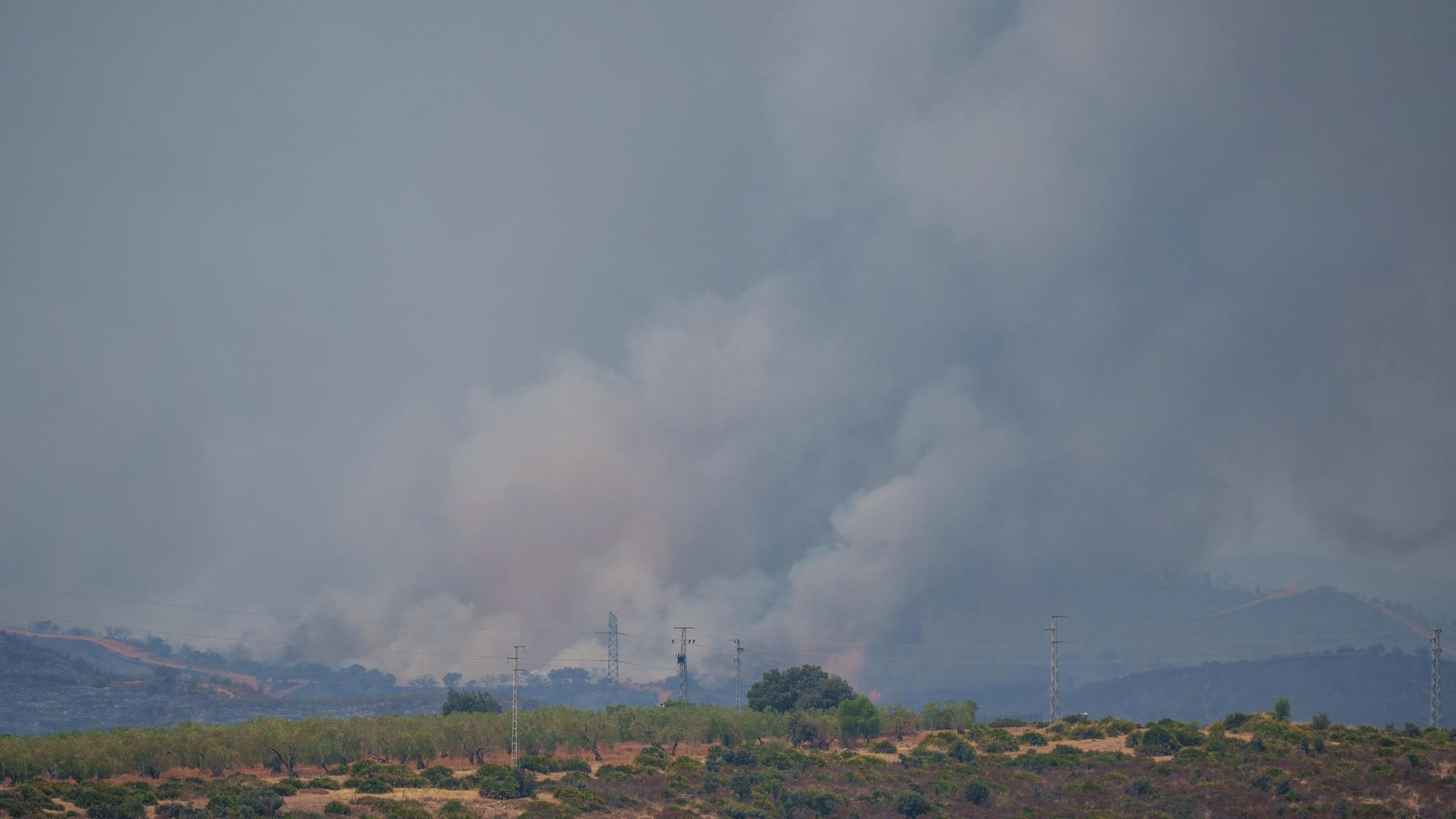 Imágenes del avance del incendio de Niebla en el término municipal de Aznalcollar