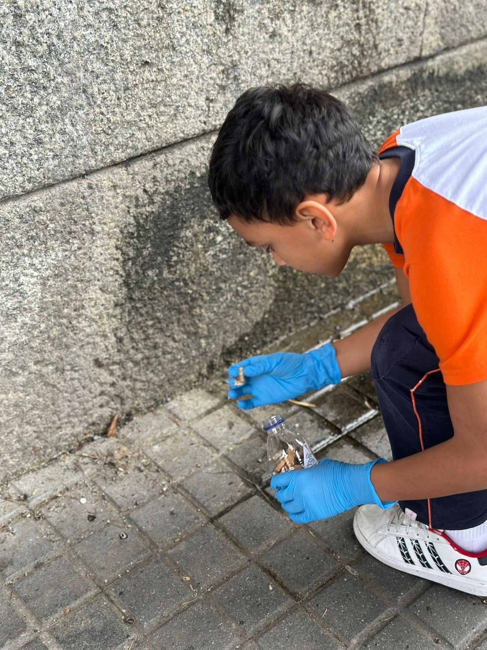 Actividad de Ecovigilantes