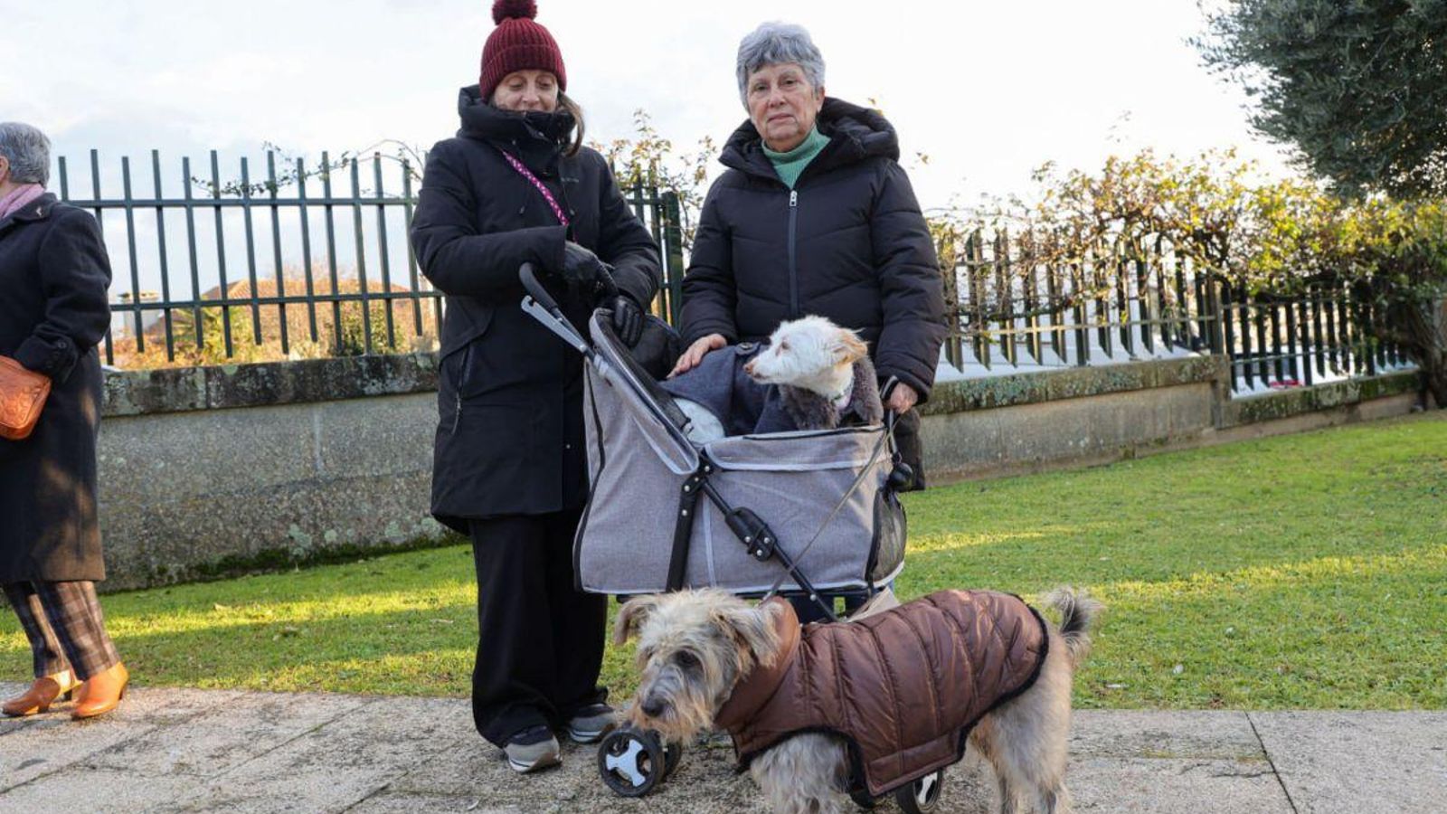 Isabela, Isabel, Pinga y Tula.