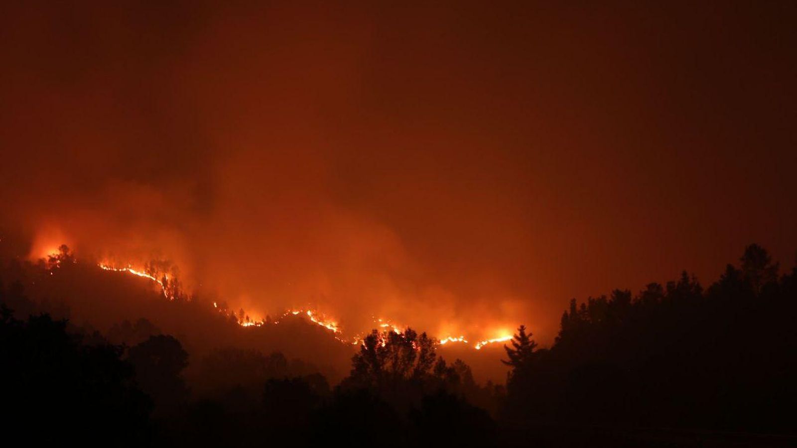 Imágenes del incendio. // Alberte