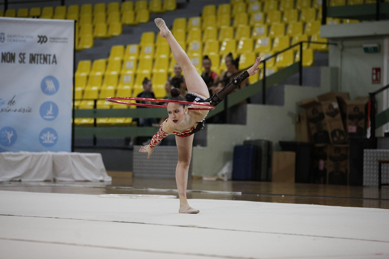 Cantidad y calidad en el Autonómico de gimnasia rítmica