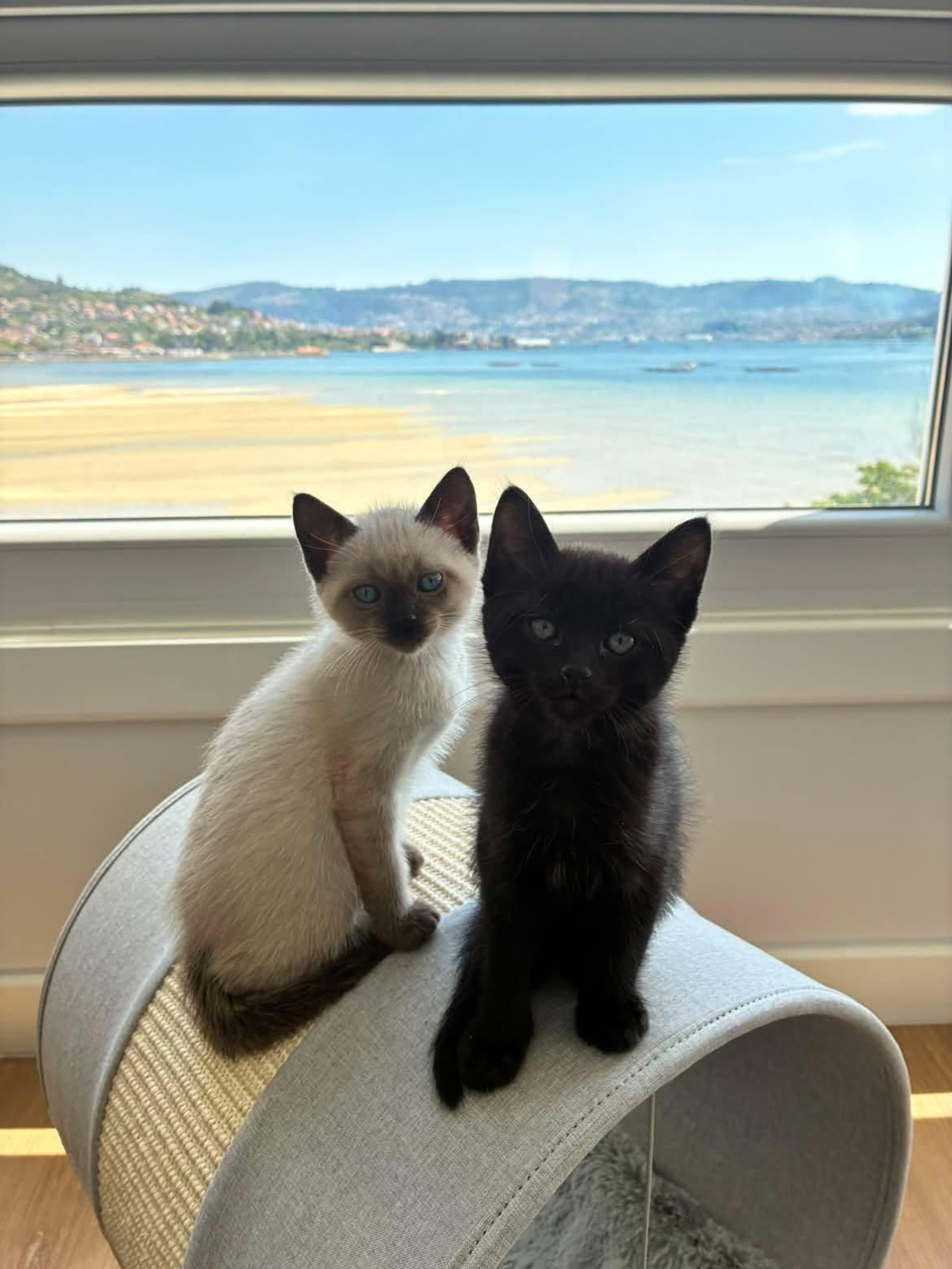 Leo y Charlie
