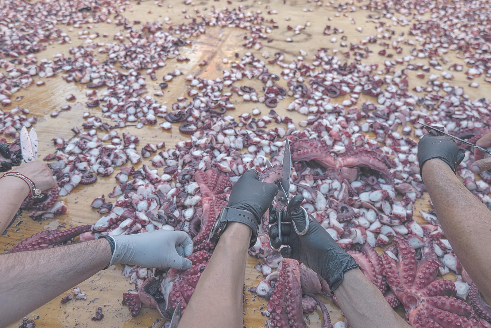 Galería | O Carballiño vuelve a hacer historia con 610 kilos de pulpo, en fotos