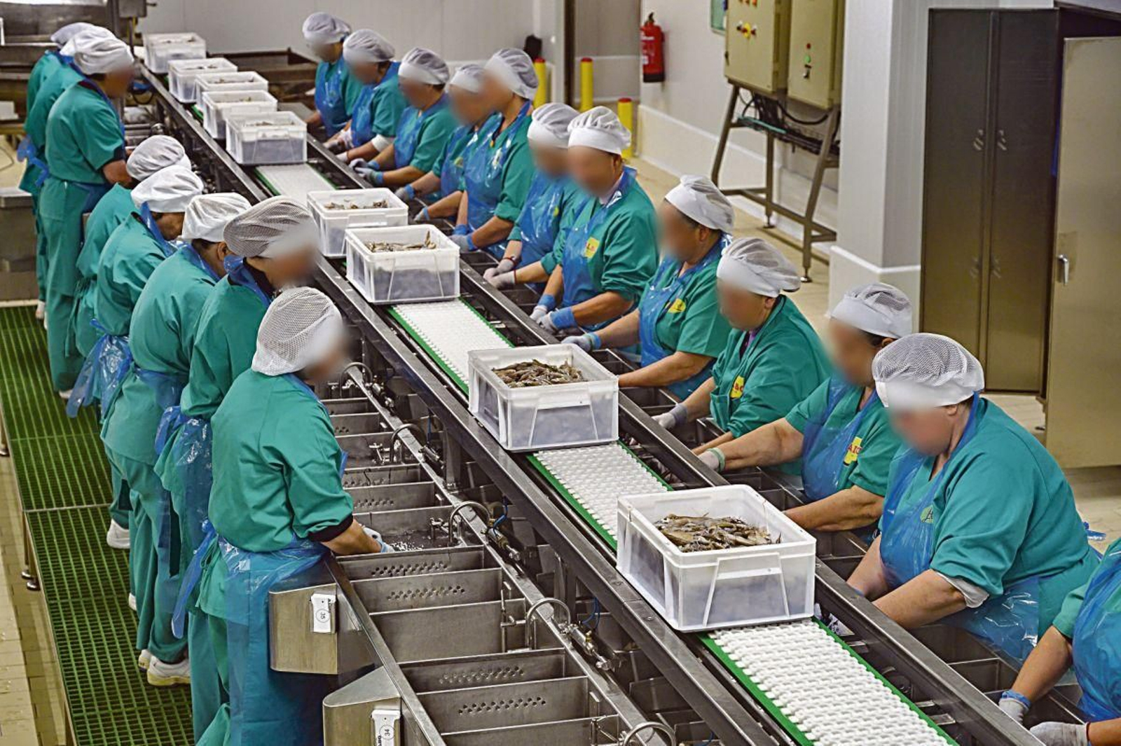 Un grupo de trabajadoras en la fábrica de la conservera en la Plisan, donde emplea a a cerca de 250 personas.