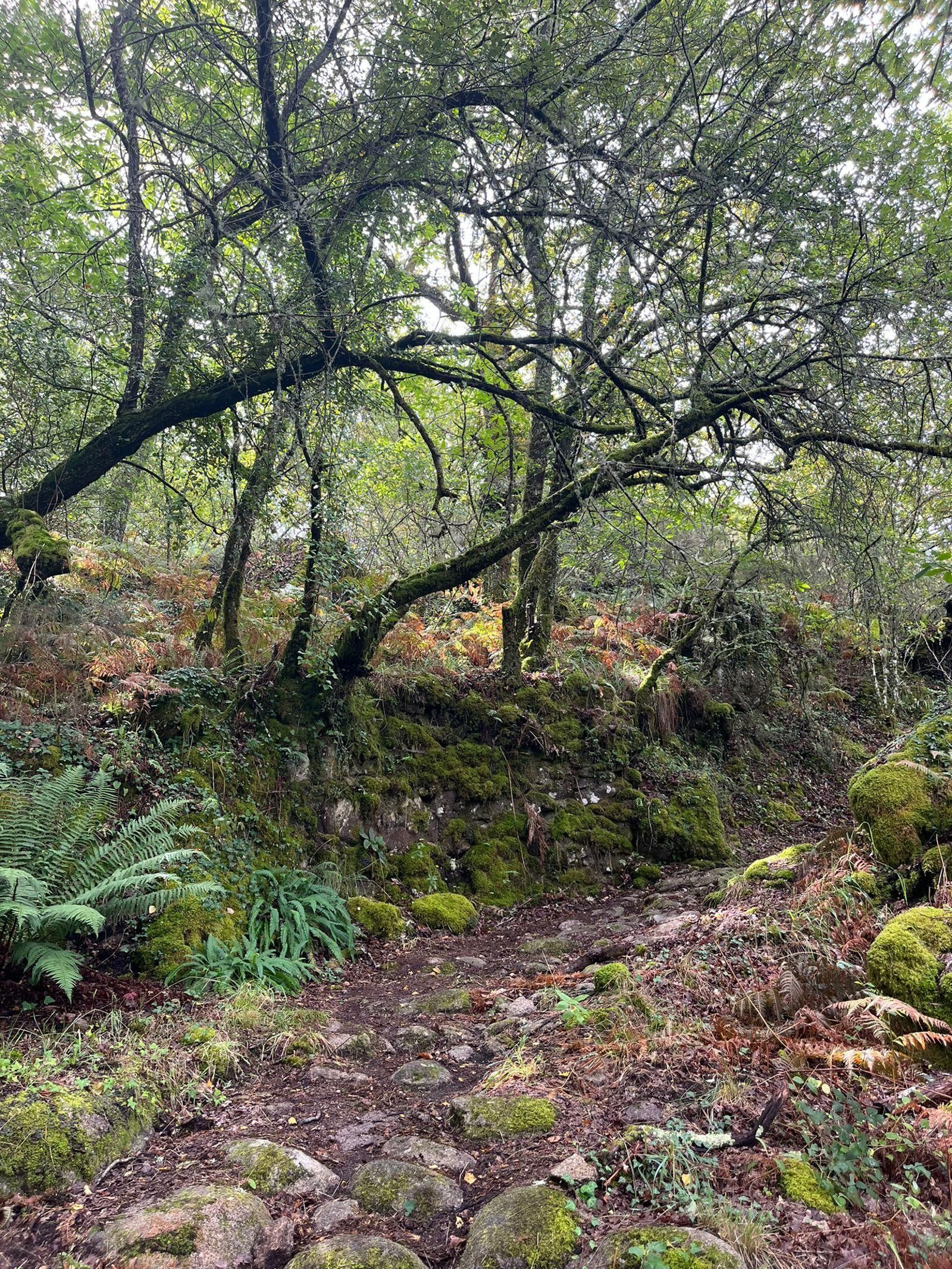 Un ruta hasta el Pozo da Seima, en Lobios