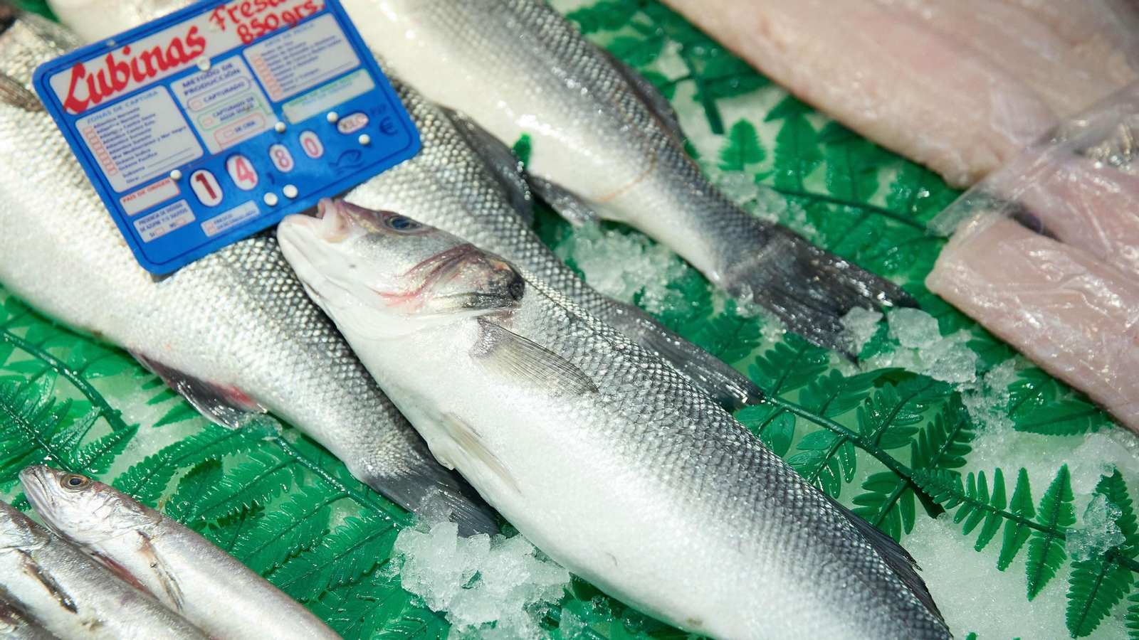 Lubinas en el mostrador de una pescadería de un mercado