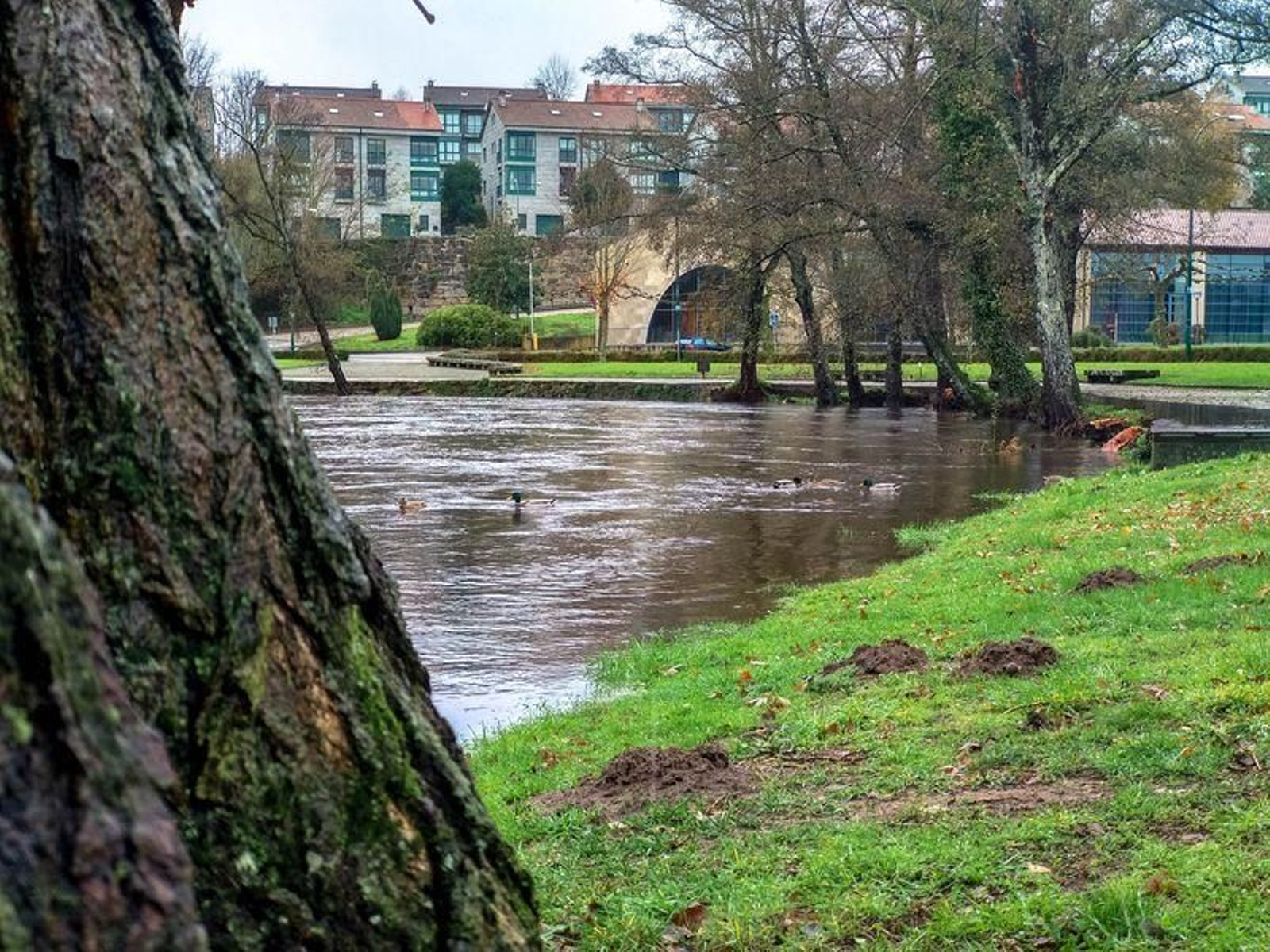 El río Arnoia a su paso por Allariz. (FOTO: LF)