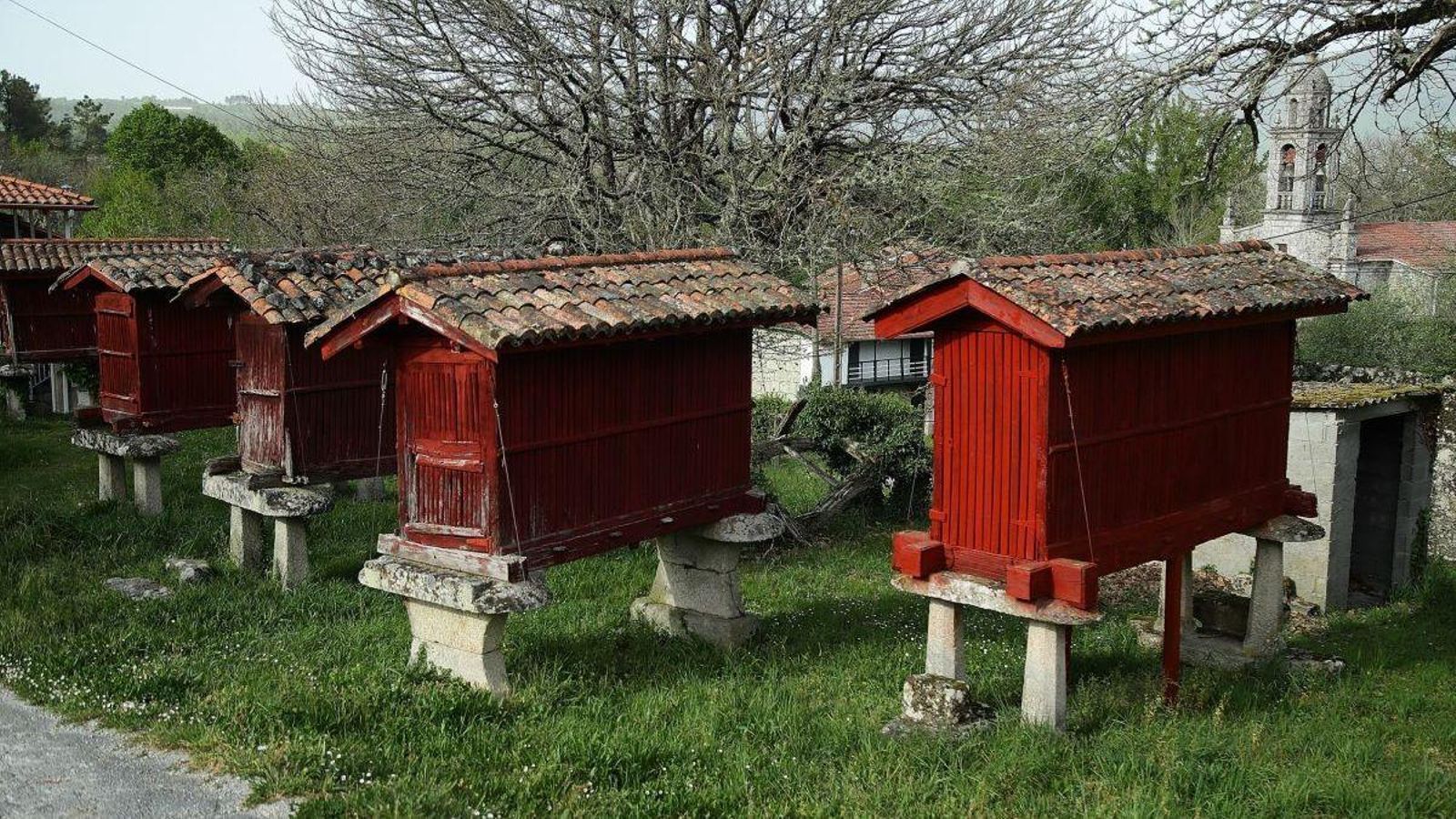 Los horreos de Zorelle, en el Concello de Maceda.