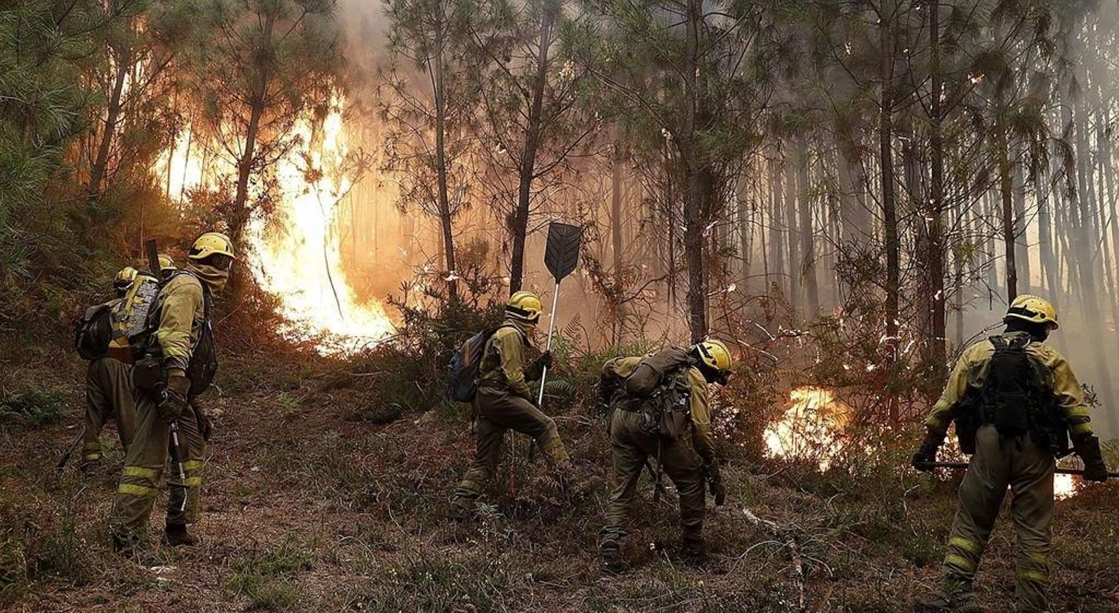 Uno de los terribles incendios de la comarca de Vigo en octubre del año 2017, el de la imagen es el de Pazos de Borbén.