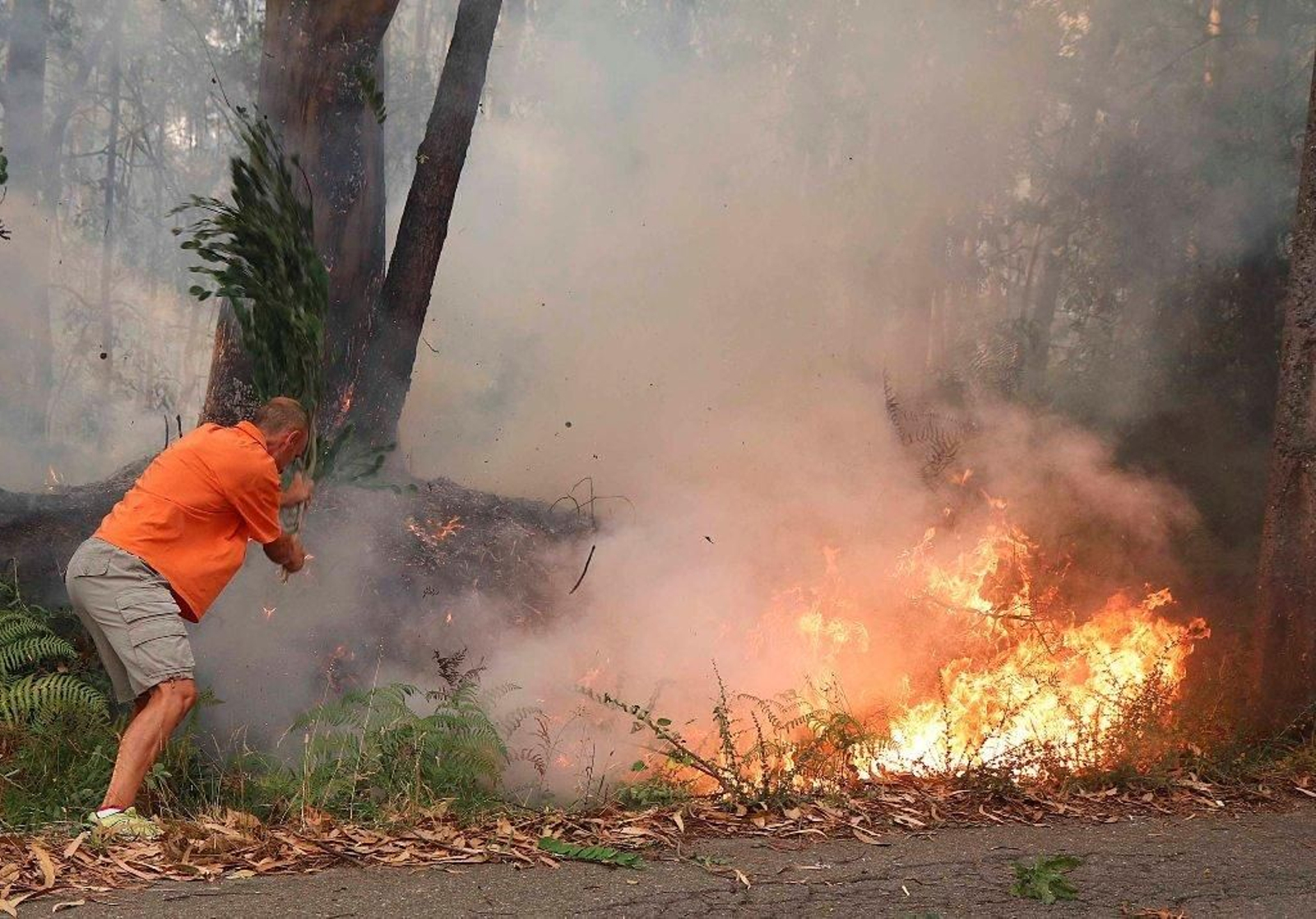 Incendio en Soutomaior Foto JV Landín 20