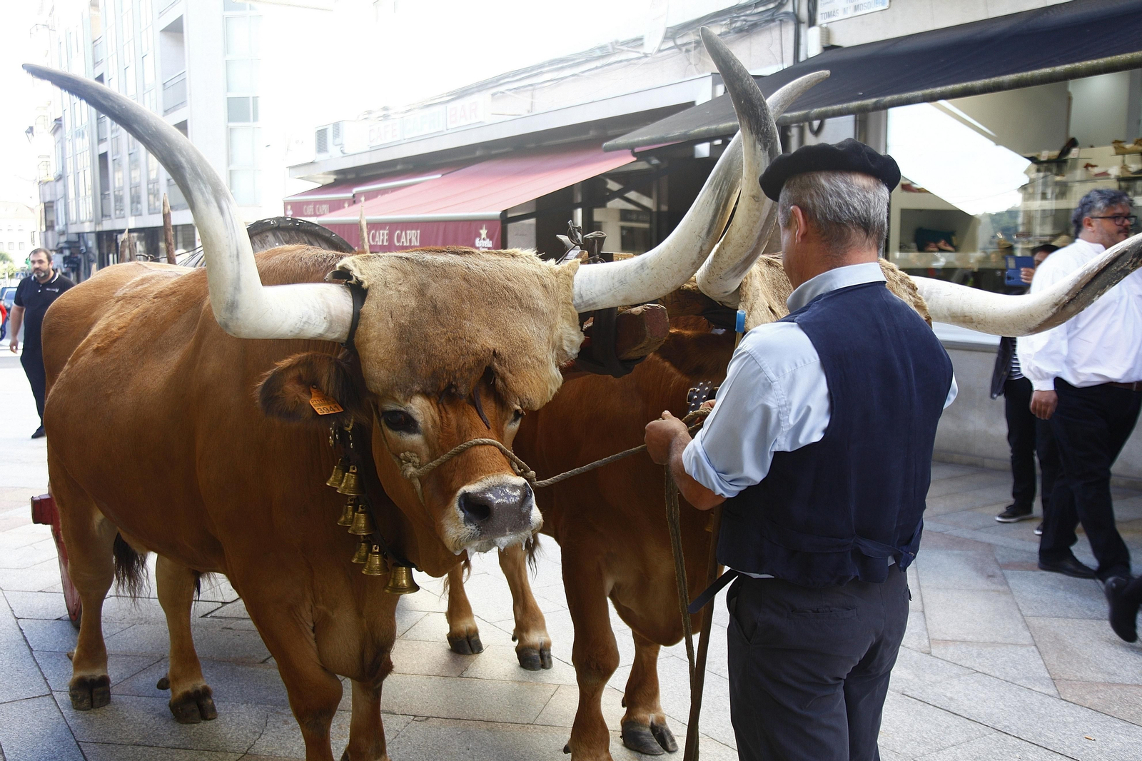 Saída andaina "Camiño Nós" (MIGUEL ÁNGEL)