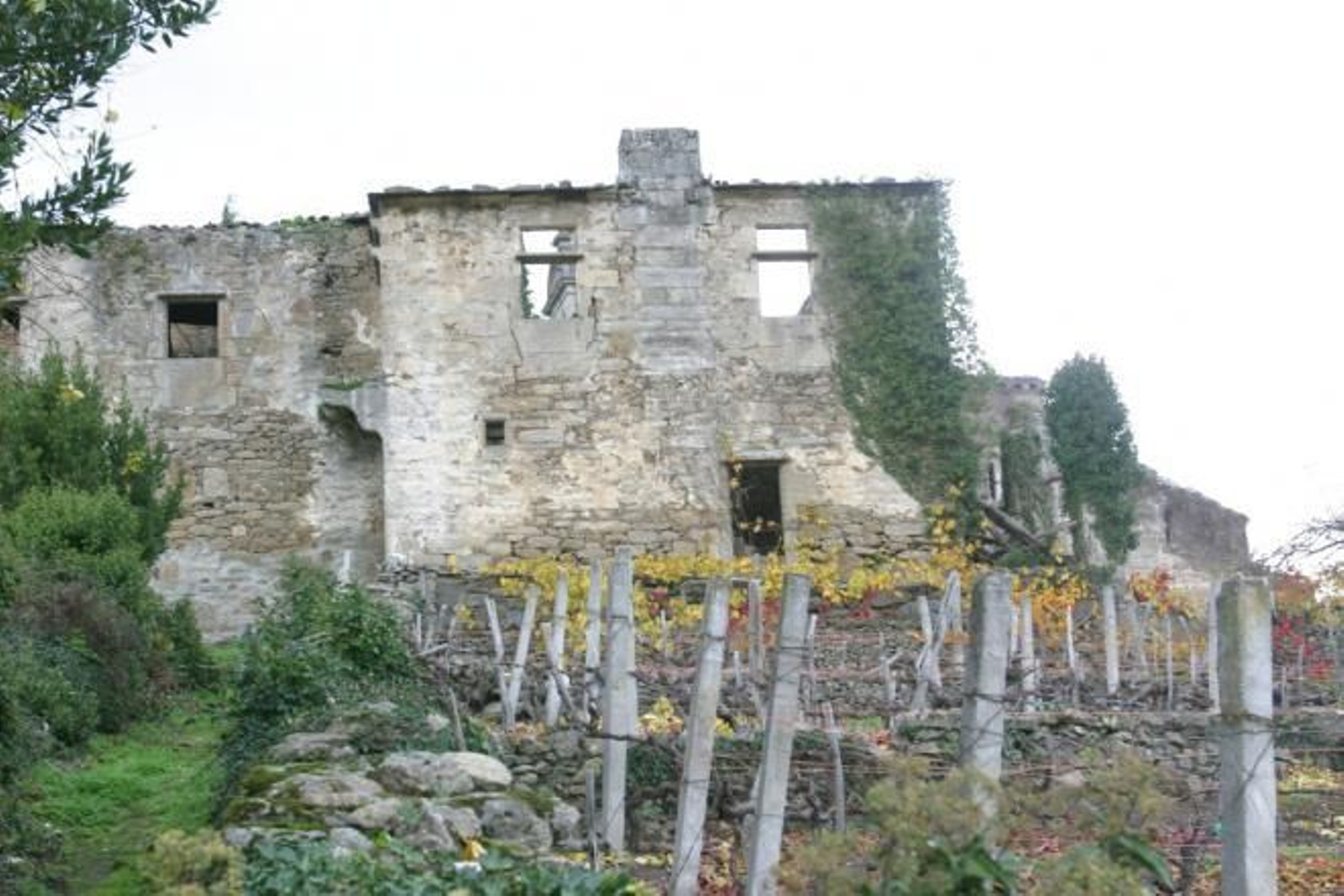Deterioro del Monasterio de San Paio de Abeleda