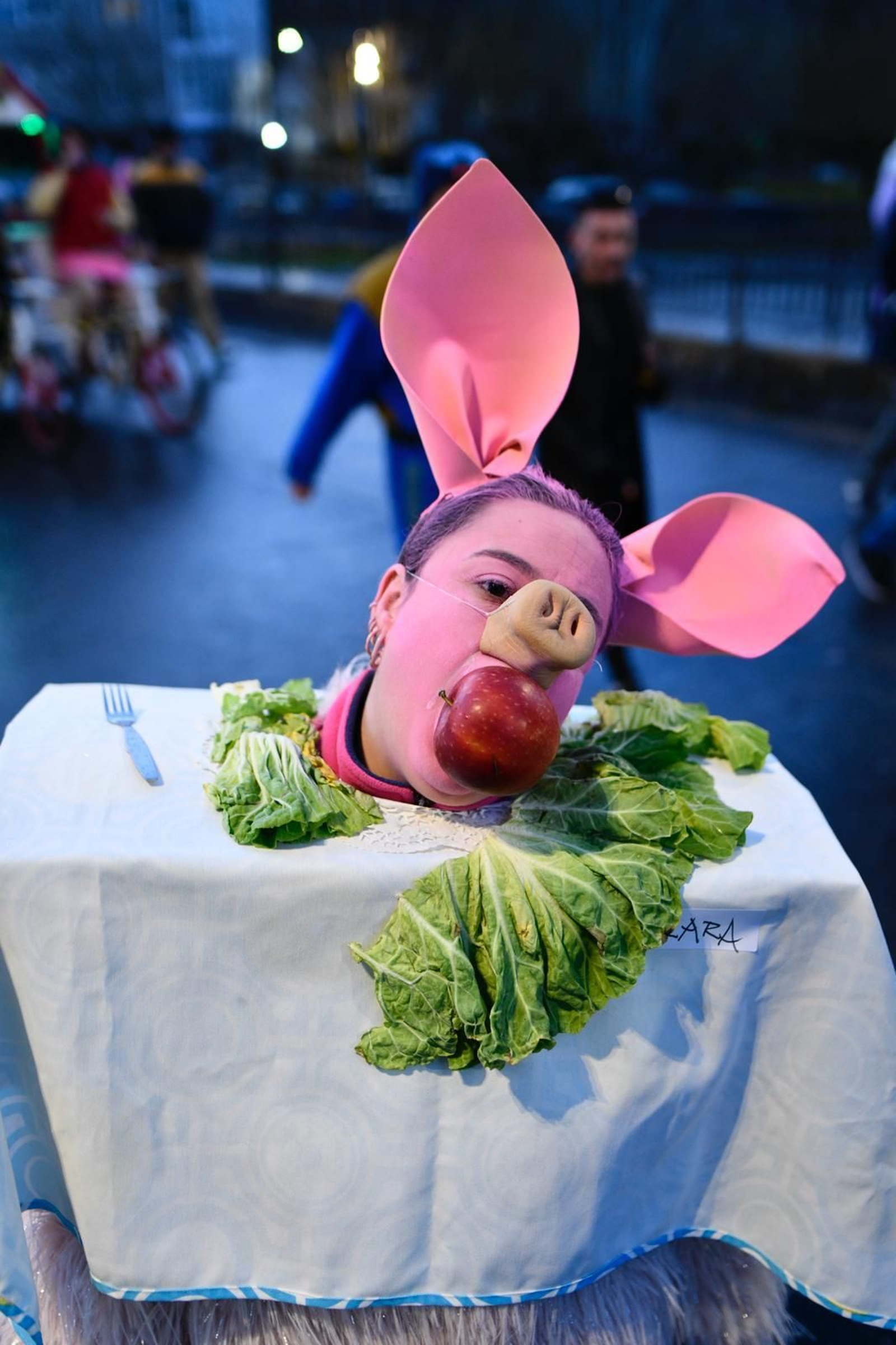 WhatsApp Image 2026-02-13 at 21.17.28